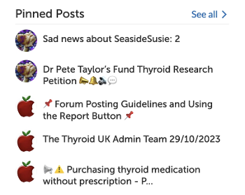Screenshot of pinned posts