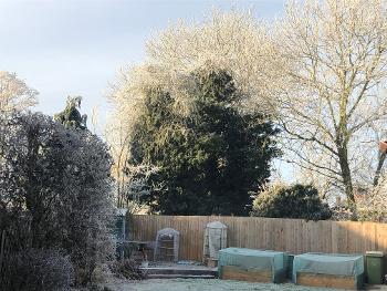 Frost covered garden