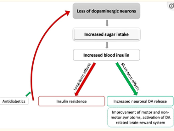 Potential Effects of Sugar on Parkinson's