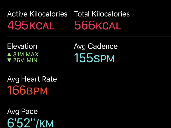 Screenshot showing 5k run results