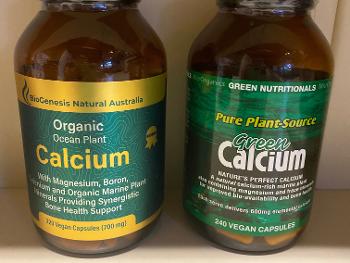 Plant based calcium I have taken - purchased at go vita Aust.