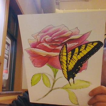 pinnk rose and butterfly