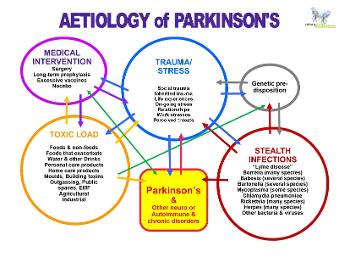 A Venn diagram showing the causes of Parkinson's. 