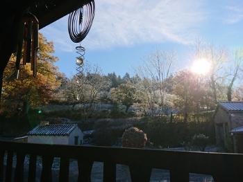 View of sparkly frosty trees from a terrace in France