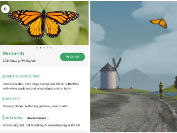 Monarch butterfly in virtual Watopia?
