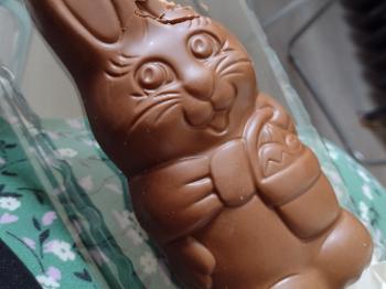 Reester Easter bunny