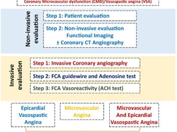 Diagnostic pathway for microvascular dysfunction and vasospastic angina 
