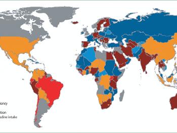 This map shows iodine concentrations world-wide.
