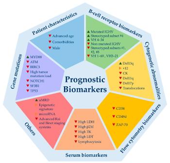 Relevant prognostic biomarkers for chronic lymphocytic leukemia.