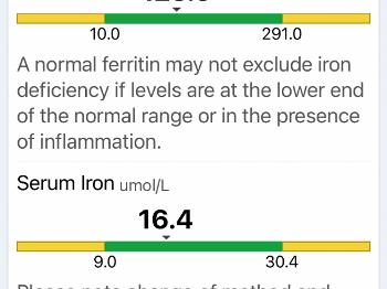 Image is ferritin and serum iron result