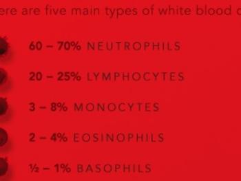 5 types of white  blood cells
