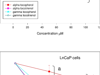LNCaP inhibition via gamma tocotrienol