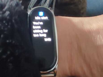 Smart Watch telling me I need to move, with cat telling me I need to stay put
