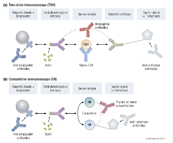 Sites and types of interference