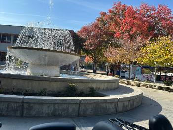 Small view  of the commons at the AG school on a recent weekend from the etrike.