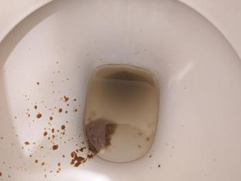 Poo in a toilet 