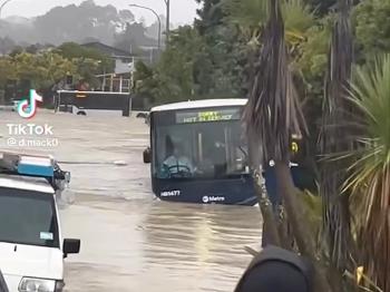 This bus floating down the street 