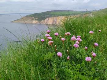 Alum Bay
