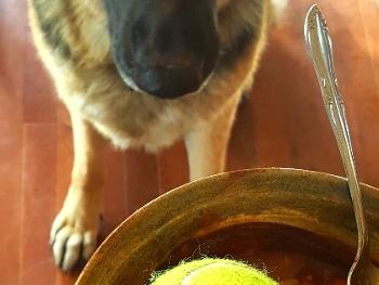 tennis ball in soup