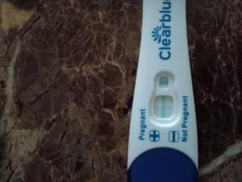 Clear blue evap line this is a NEGATIVE PREGNANCY TEST...
I swore I was pregnant!