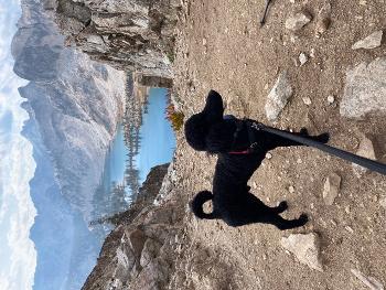 Pass over the Sawtooths with Mateo