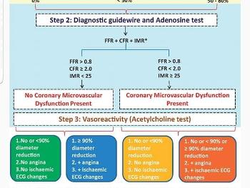 This is the diagnostic pathway for microvascular dysfunction and vasospastic angina. 