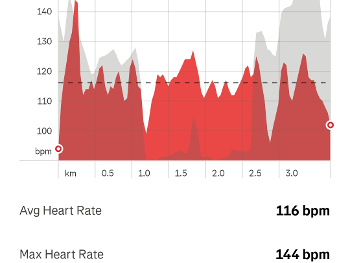 HR during exercise.