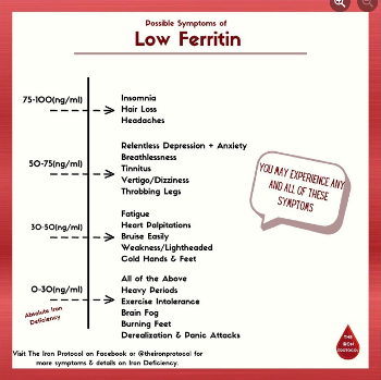 ferritin levels