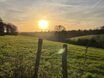 Sunrise over fields x