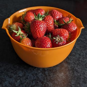 Home grown strawberries