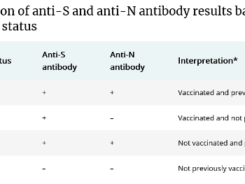 Antibody Vax vs Infection