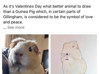 Bad drawing of a Guinea Pig