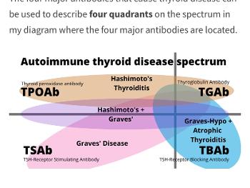 Antibodies