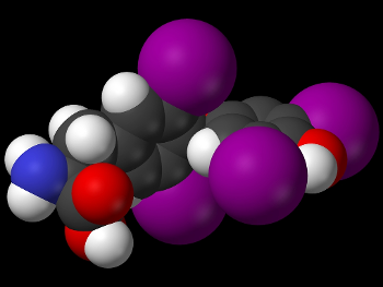 Molecular structure of levothyroxine