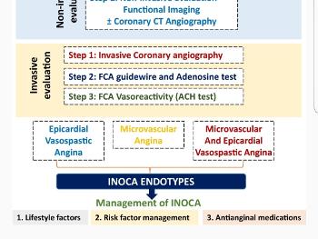 Diagnostic pathway for Microvascular dysfunction and vasospastic angina 