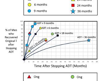 Testosterone Recovery after Stopping ADT