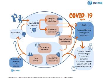 COVID-19 cycle