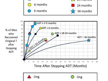 Testosterone recovery vs time after stopping ADT