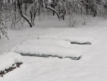 Snow on raised garden beds