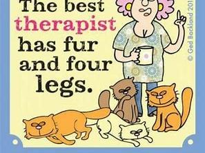 Fur therapy