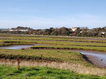 Wetlands