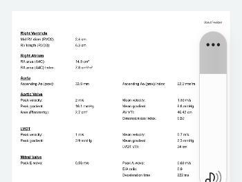 Ultrasound report