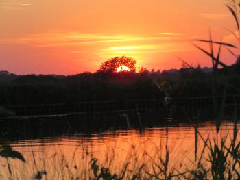 River bure