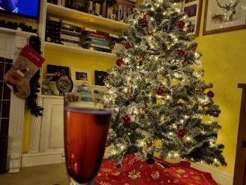 Christmas tree lit up in a cosy room. Glass of fizz to celebrate.