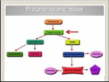What pregnenolone converts into