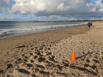 Turnaround point. A single orange cone on the beach. Runners approach from middle distance