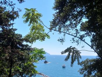 Foliage and the blue Mediterranean 