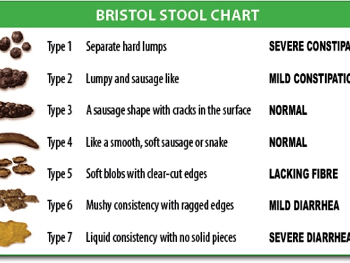 Bristol stool (poo) chart