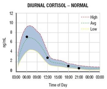 Graph of natural cortisol release in the body.  I try to get my prednisone in ahead.