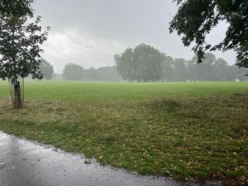 Rainy Eastville Park
